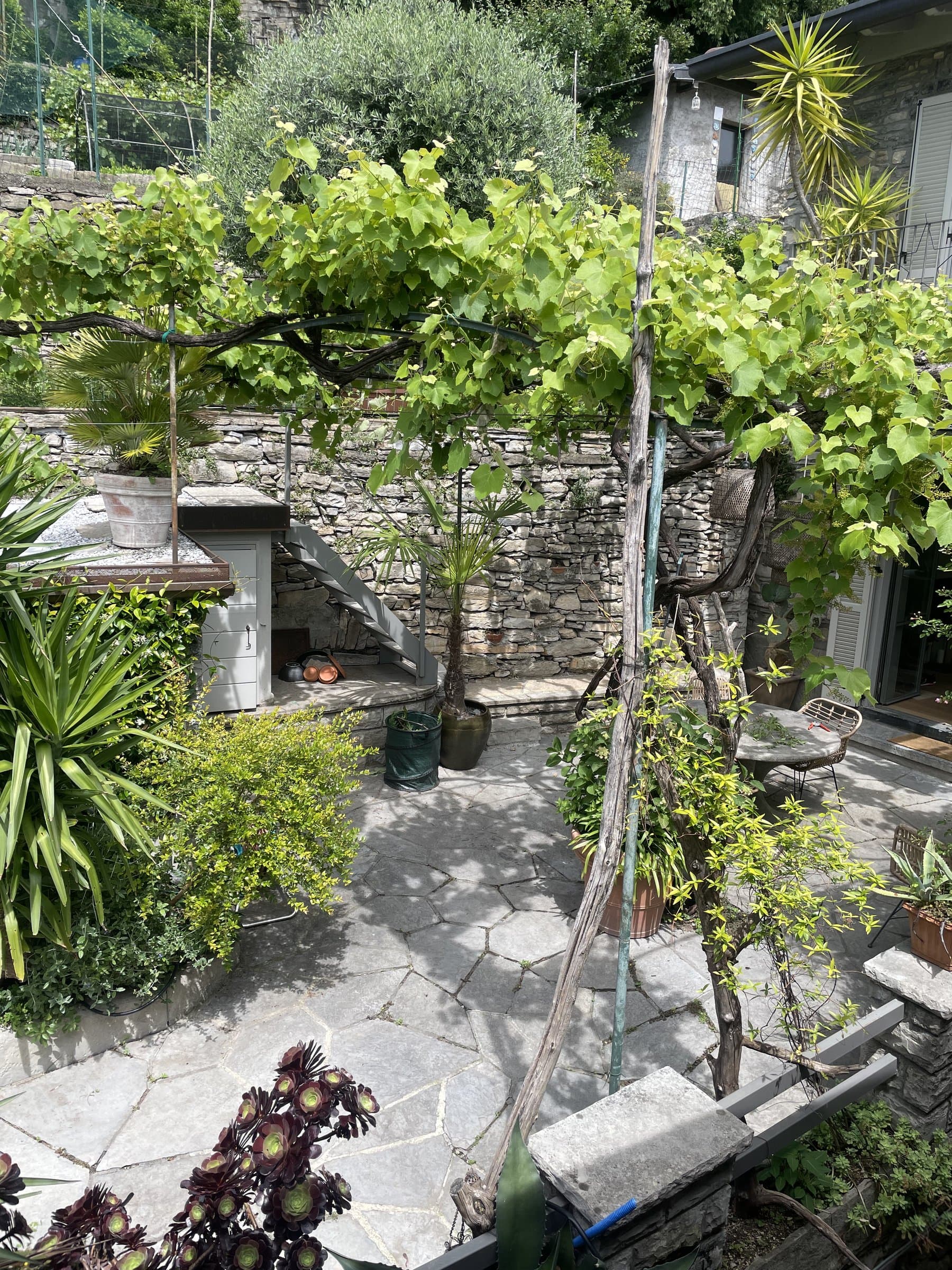 Giardino privato con pergolato